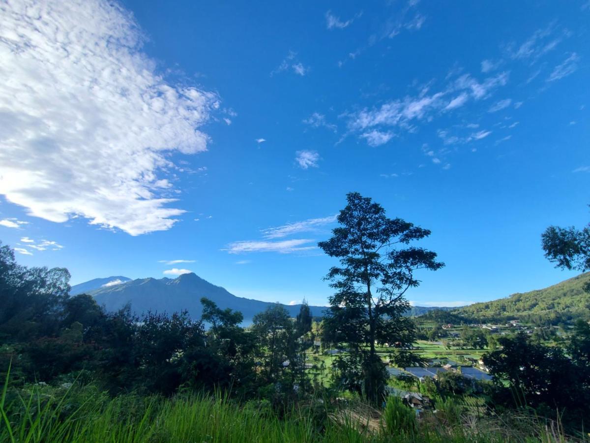 Batur View * Kintamani